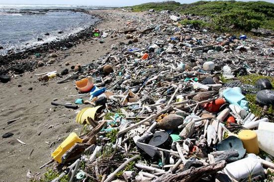 Plastic debris on a beach