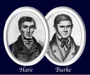 Hare and Burke