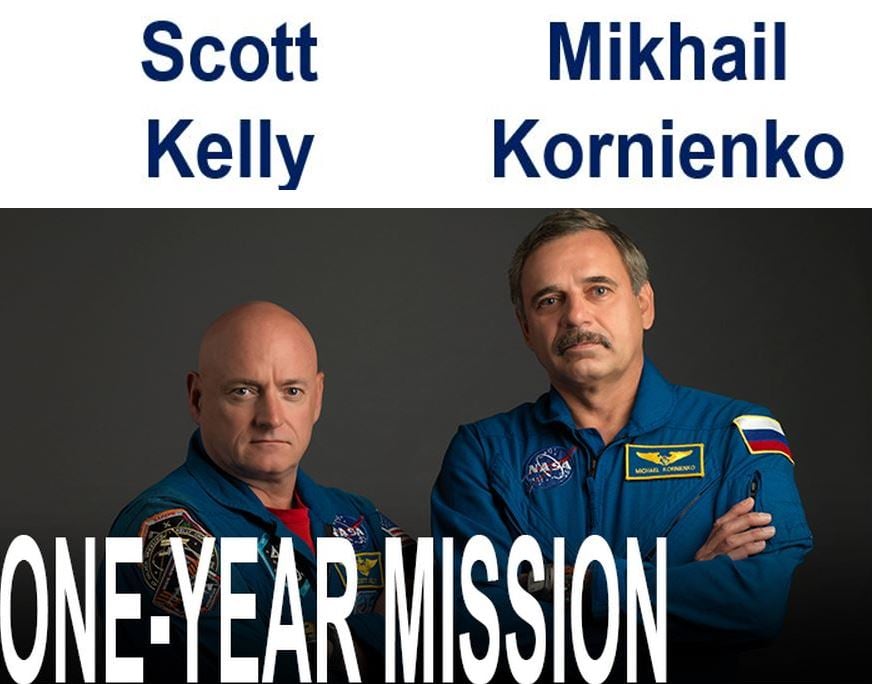 One year in space astronauts