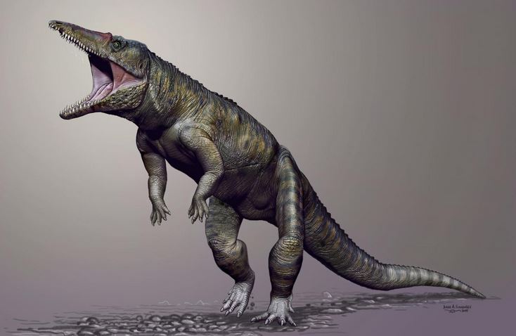 Upright prehistoric crocodile Carnufex carolinensis