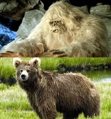 Yeti and Himalayan Brown Bear