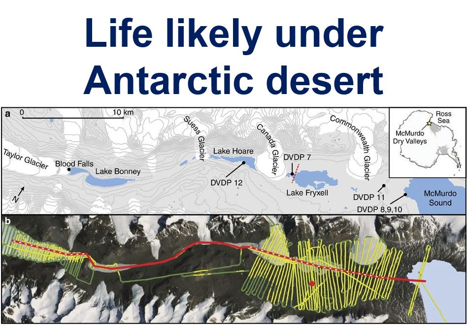 Like likely under Antarctic desert