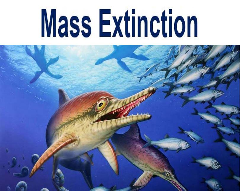 Mass Extinction