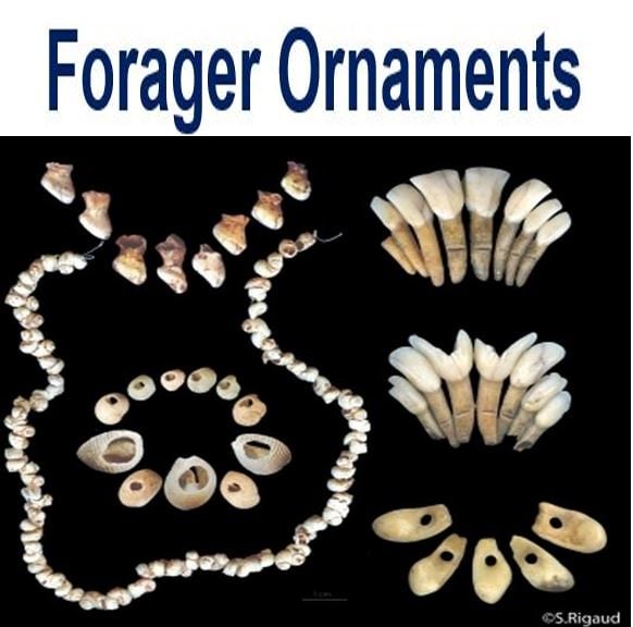 Forager ornaments
