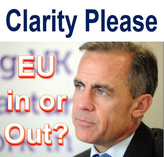EU in or Out Carney