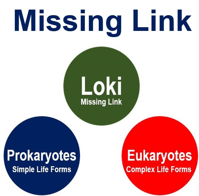 Missing link