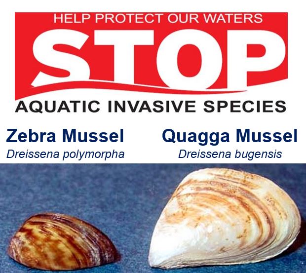 Saskatchewan Aquatic Invasive Species Protection Measures Announced ...