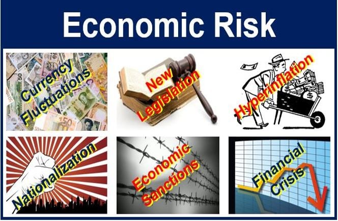 what is economic risk in business