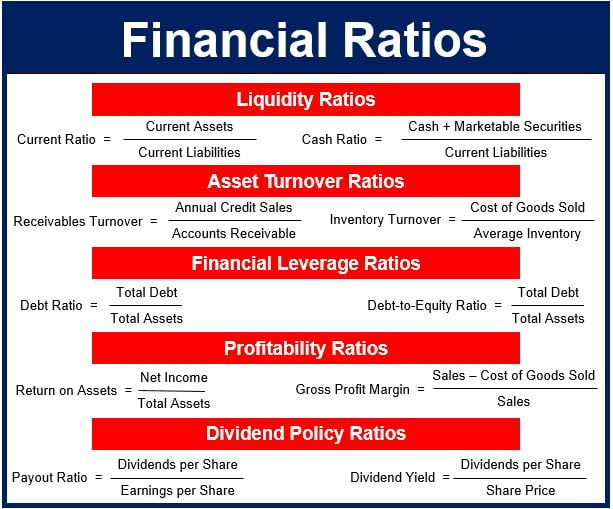 List Of Key Financial Ratios Formulas And Calculation Examples Defined My Xxx Hot Girl 8578