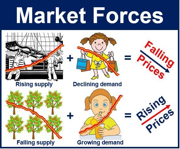 what-are-market-forces-definition-and-meaning-market-business-news