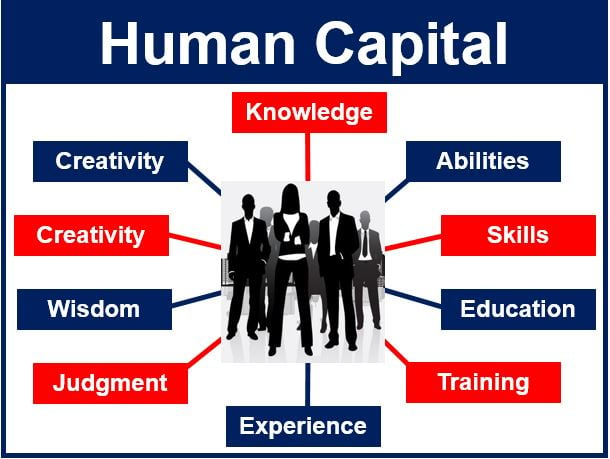 Human Capital In A Sentence