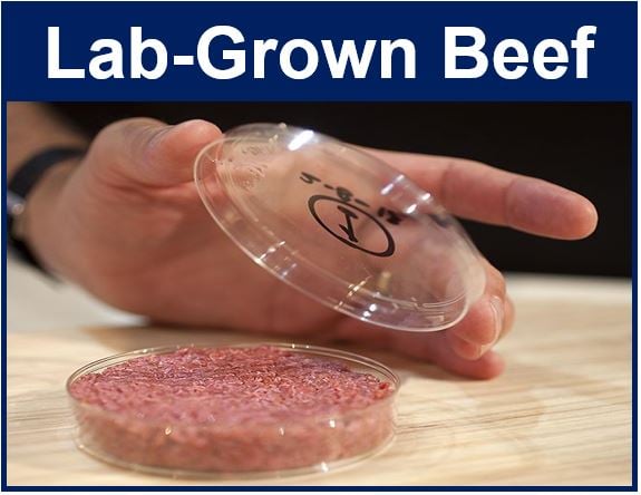 Lab Grown Beef