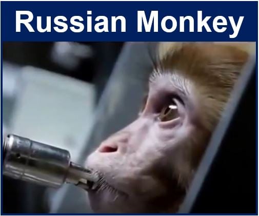 Russian Monkey
