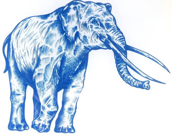 Extinct elephant fossil on display at Dinosaur Isle on Isle of Wight