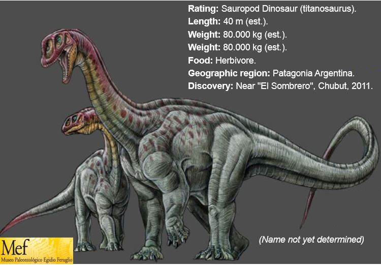 titanosaur discovery