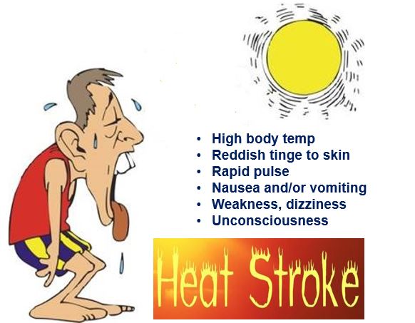 heat-exhaustion-vs-heat-stroke-here-s-how-to-know-the-difference