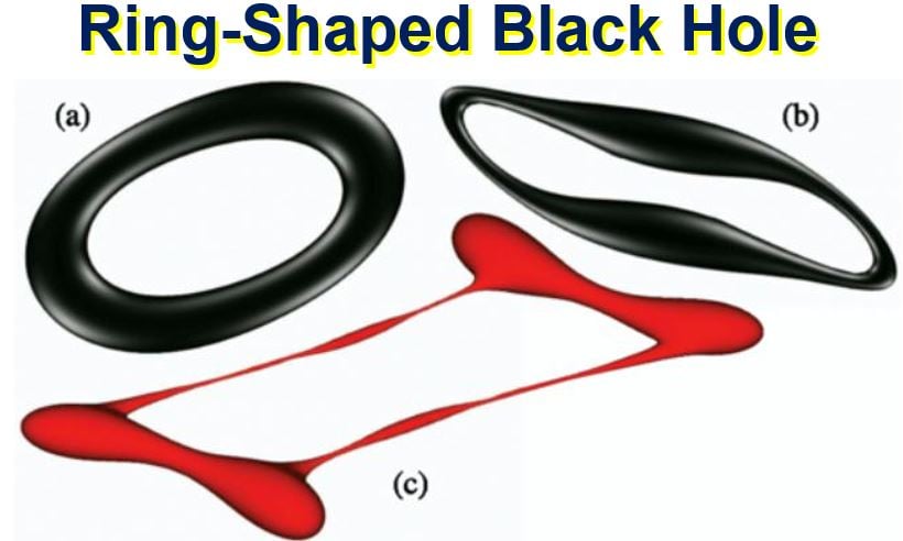 Ring shaped black hole