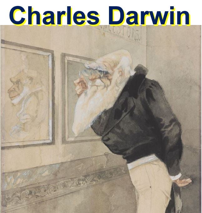 Darwin Cambridge University Library exhibition