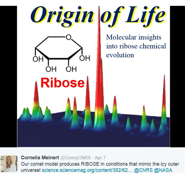 Origin of life Ribose sugars from comet ice