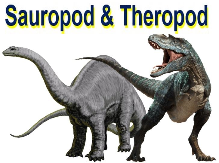 sauropod meaning