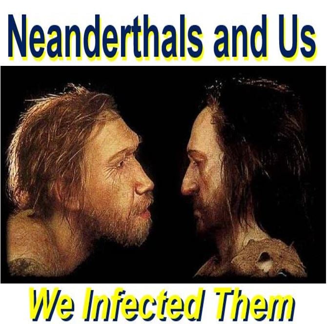 We infected Neanderthals with tropical diseases