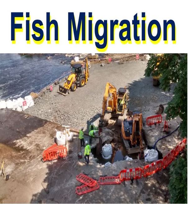 Fish Migration Hexham fish pass