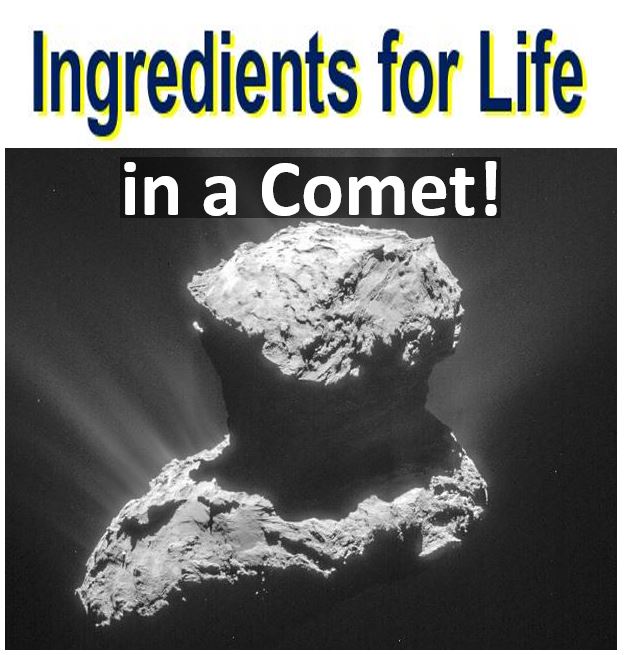 Ingredients for life in a comet