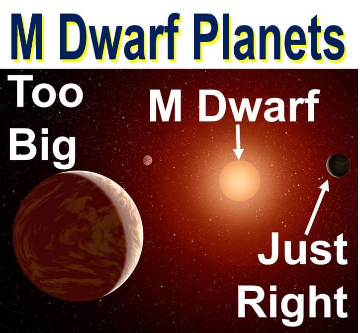 Life on other planets orbiting M dwarfs
