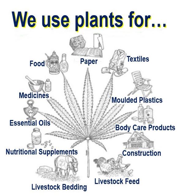 What do we use plants for