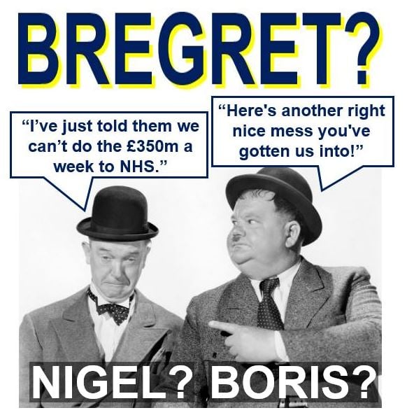 Bregret regreting voting for Brexit