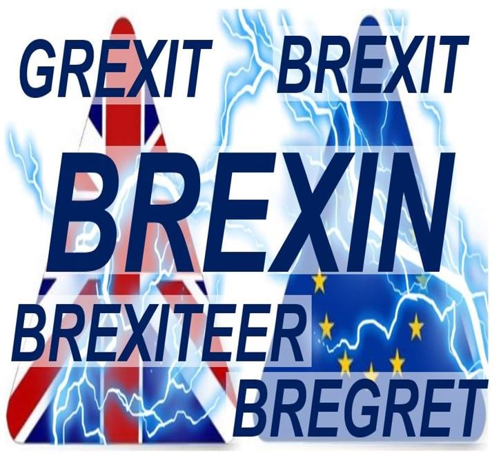 Brexin Brexit Grexit Bregret Brexiteer