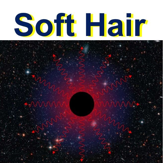 Black hole soft hair