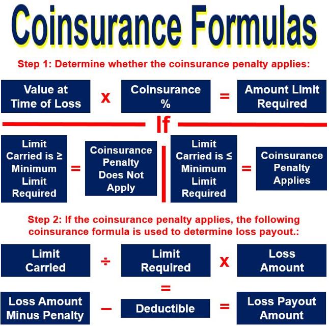 Coinsurance - definition and meaning - Market Business News