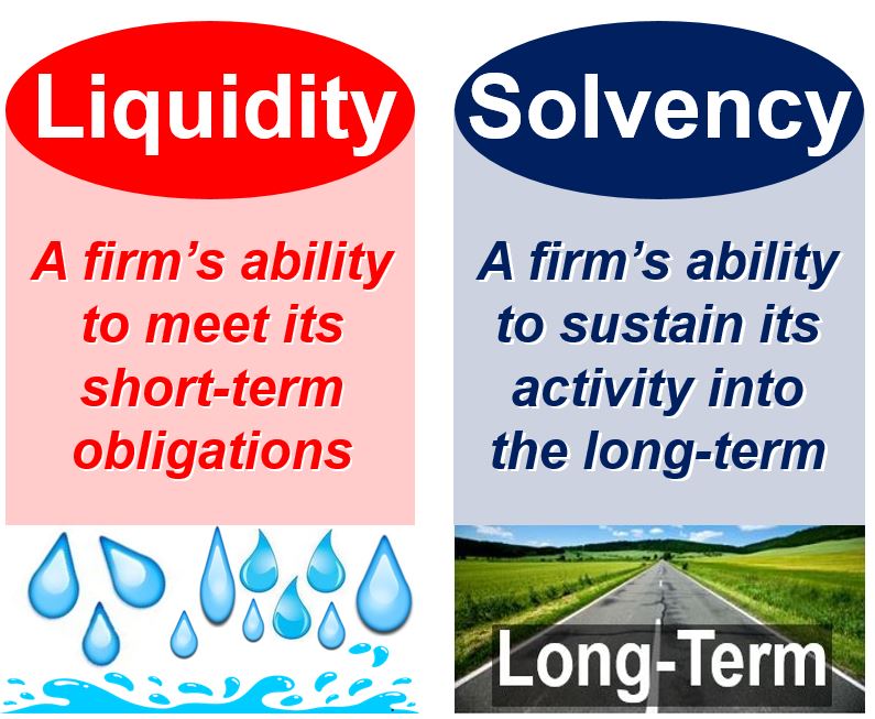 solvency-ratio-meaning-and-all-there-is-to-know-and-more-loanspot