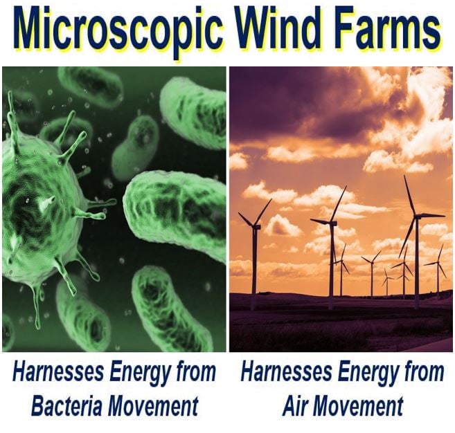 microscopic wind farm generates electricity using