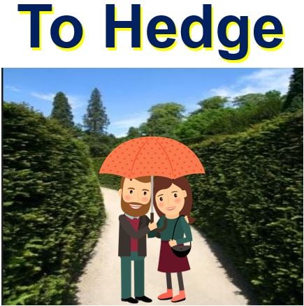 To Hedge