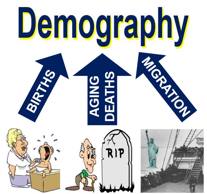 what-is-demography-definition-and-meaning-market-business-news