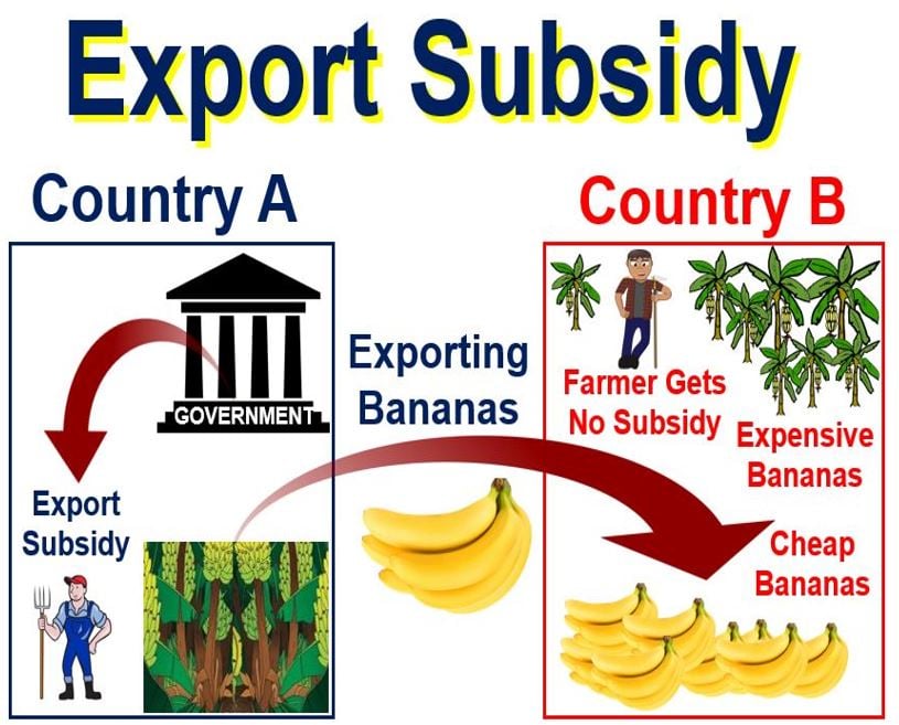 What Is Subsidy In Economics Class 9