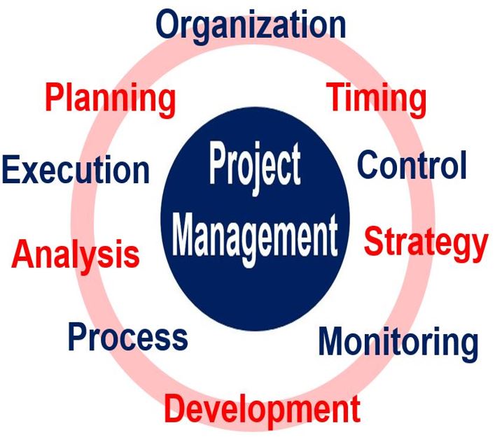 Project Management Definition Meaning And Examples