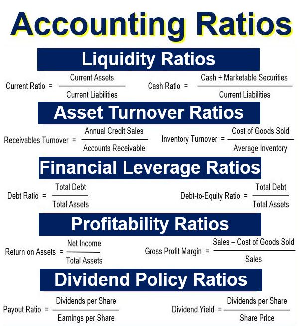 Accounting Ratios Analysis Hard Orgasm