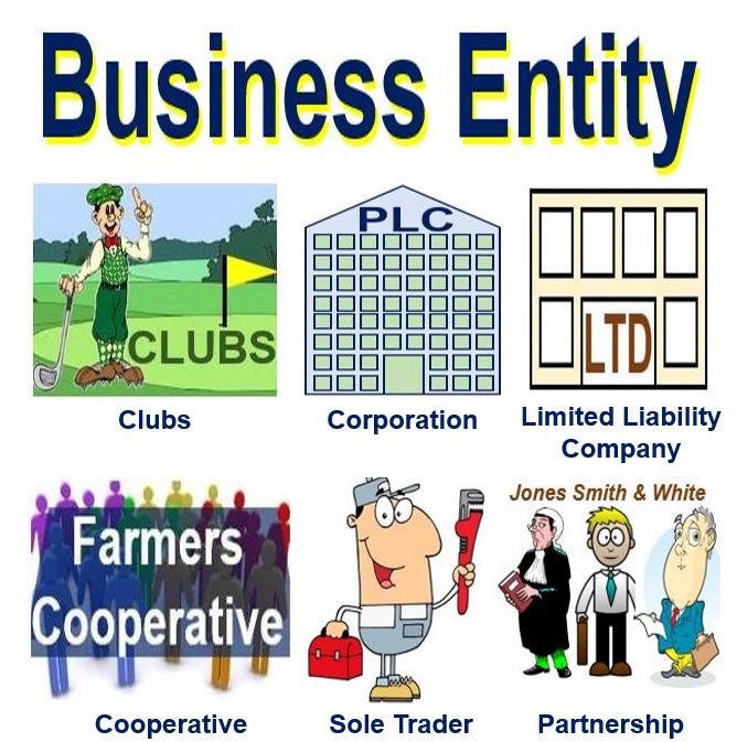 business-entity-concept-introduction-meaning-effects-example