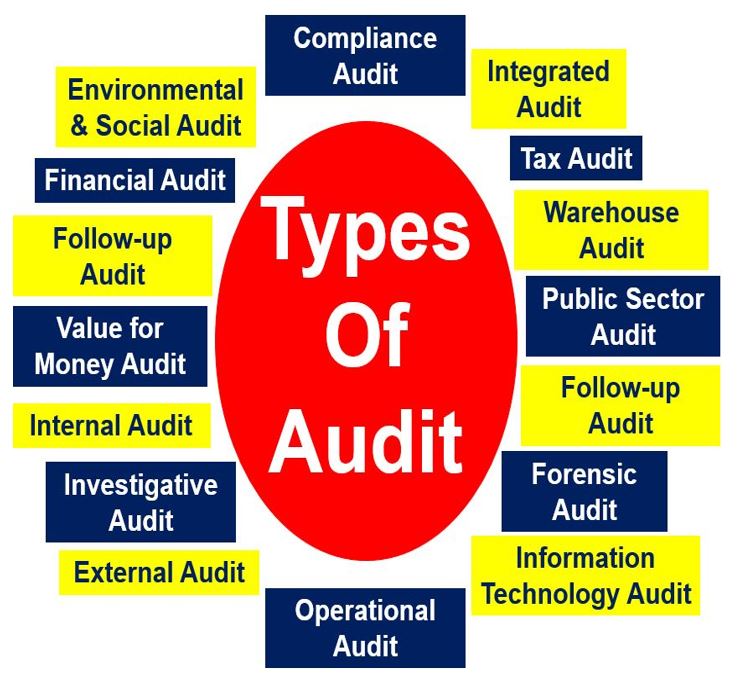 Audit Meaning In Chinese