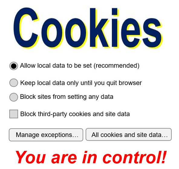 What are cookies? Definition and meaning Market Business News