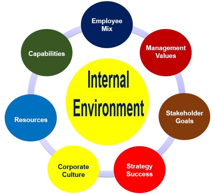 The Key Internal And External Factors That