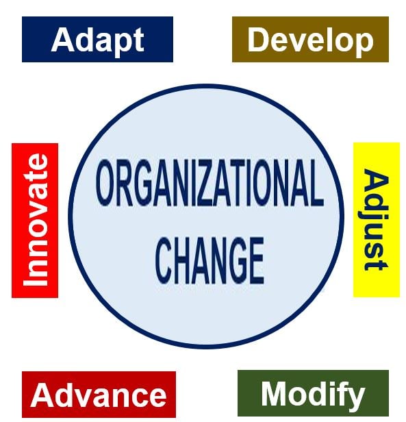 Organizatinal Change