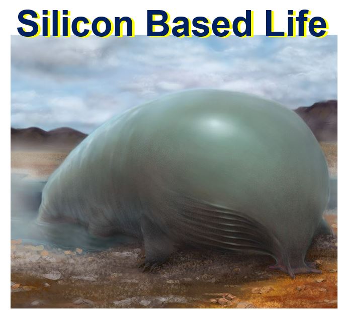 Silicon based life