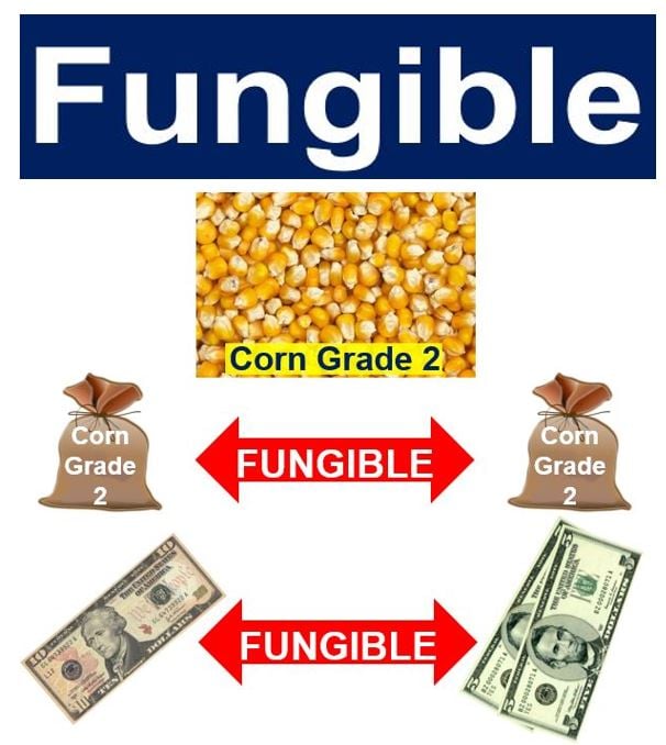 The Definition Of The Word Fungible