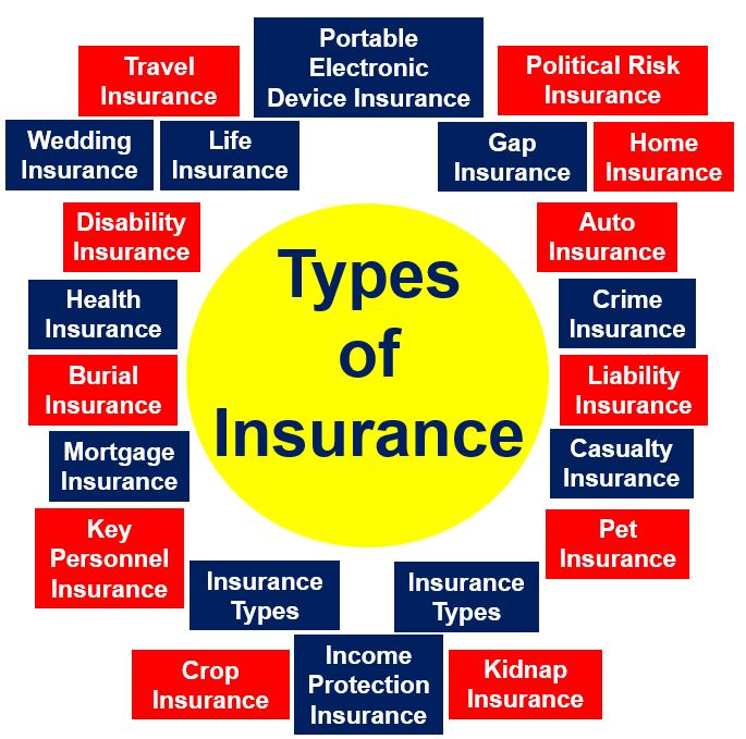 What is Insurance? Definition, history, and some examples