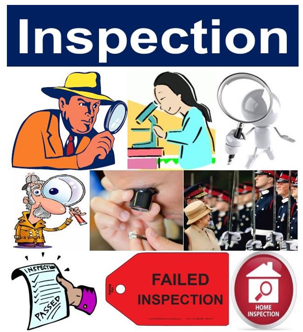 What Is An Inspection Definition Types And Examples