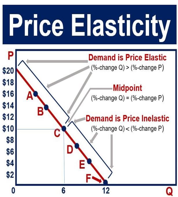What Is Price Elasticity  Definition  Meaning  And Examples